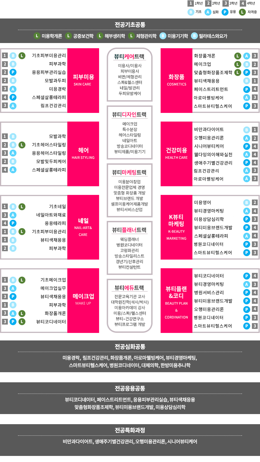 SDU 뷰티미용전공 학습로드맵